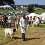 Yealmpton Show